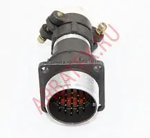 2РМТ24БПН19Ш1В1В вилка фото