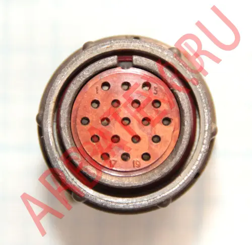 2РМ24КПН19Г1В1 фото фото 5 2РМ24КПН19Г1В1 Разъемы 2РМ, 2РМТ, 2РМГ, 2РМДТ, ОНЦ-РГ фото фото 5