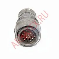 2РМ24КПЭ19Ш1В1 фото